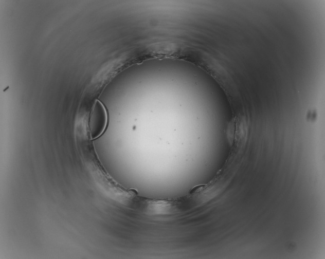 X0000111900287200907271205