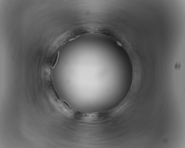 X0000111900288200907271205