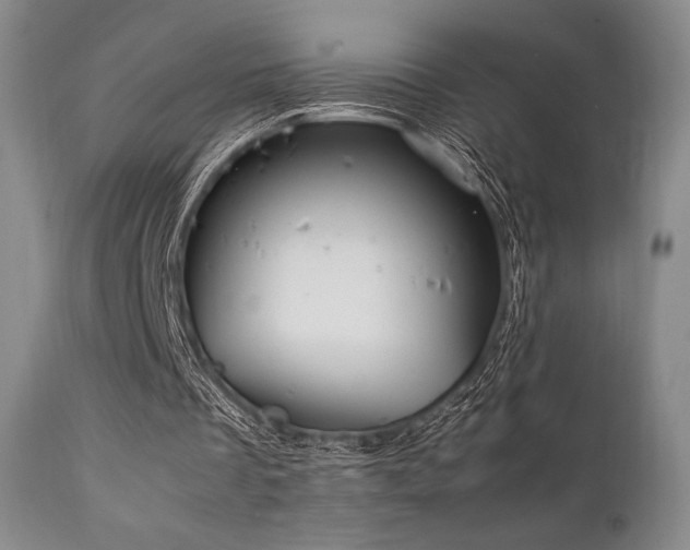 X0000111900289200907271205