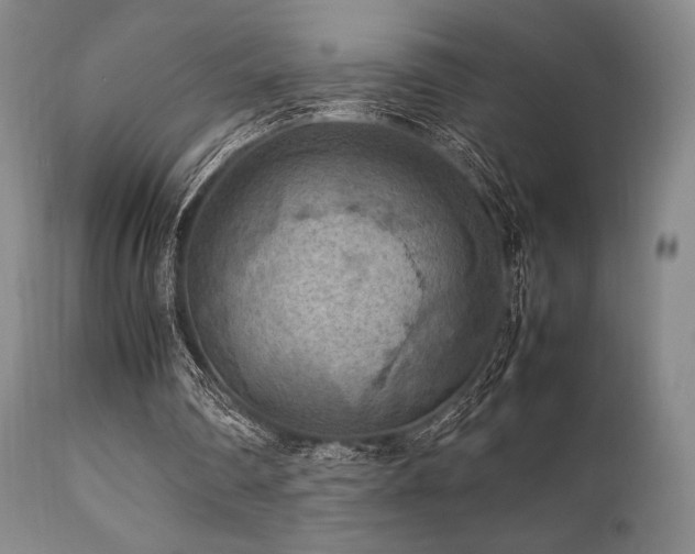 X0000111900290200907271205