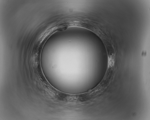 X0000111900291200907271205