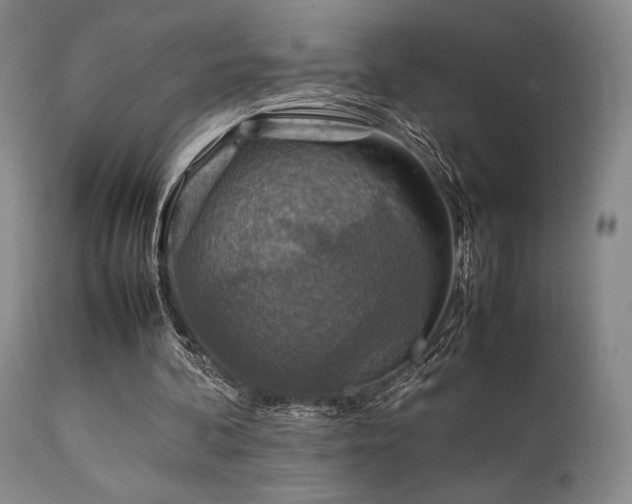 X0000111900292200907271205