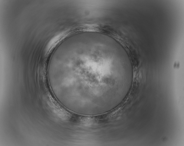 X0000111900293200907271205