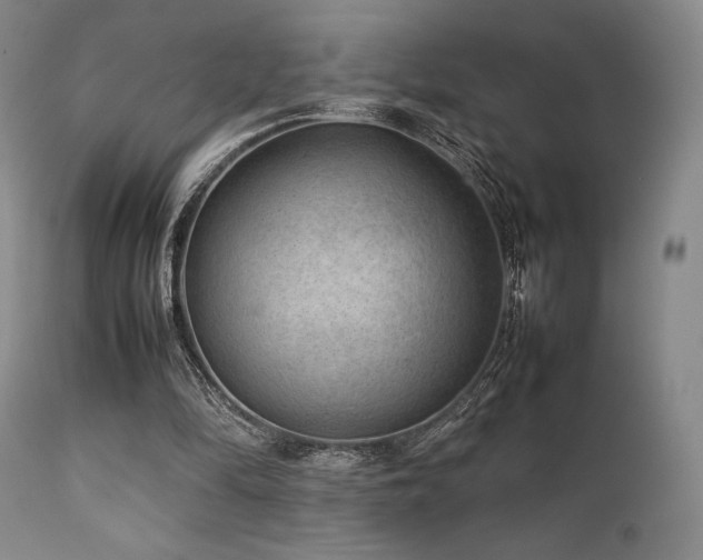 X0000111900294200907271205