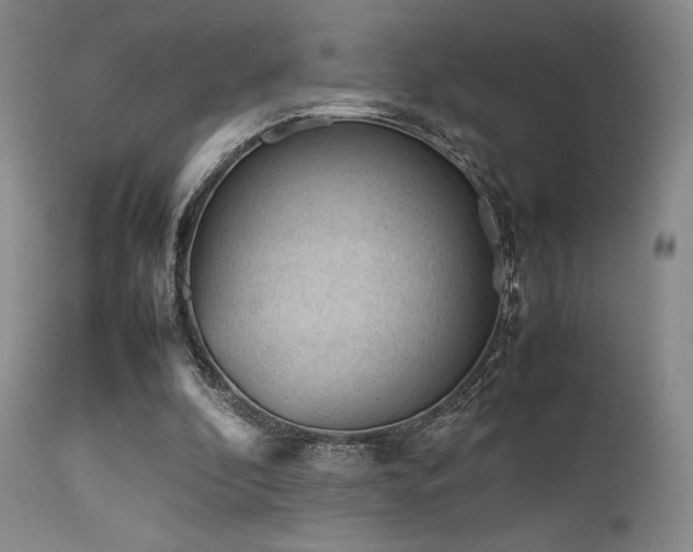 X0000111900296200907271205