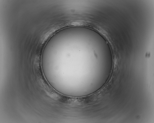 X0000111900297200907271204