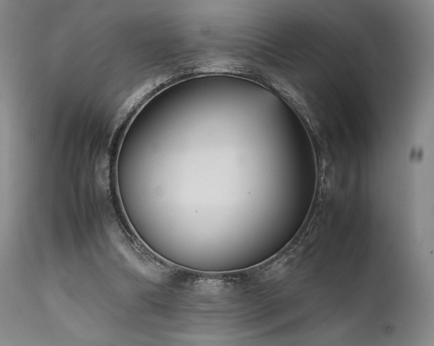 X0000111900298200907271204