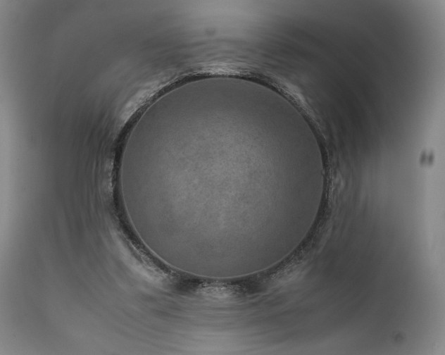 X0000111900299200907271204