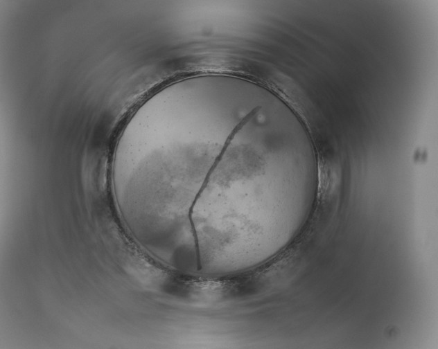 X0000111900301200907271204