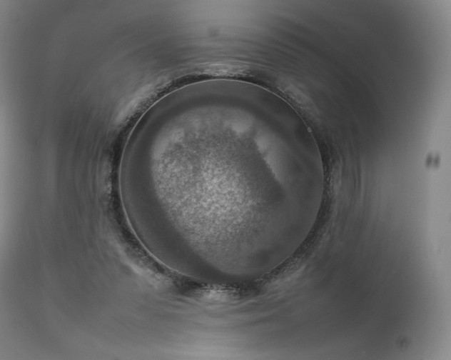 X0000111900303200907271204