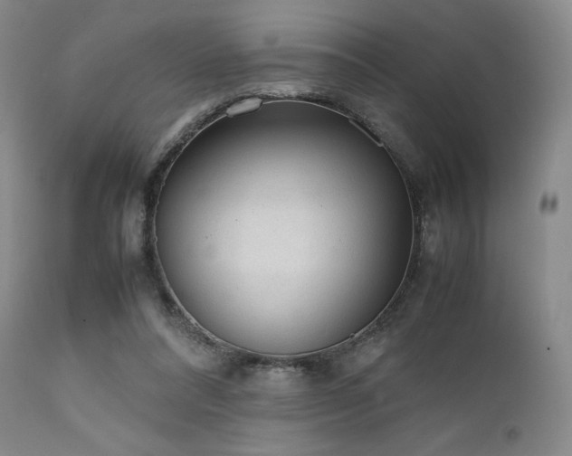 X0000111900304200907271204