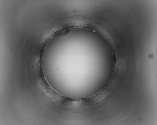 X0000111900306200907271204