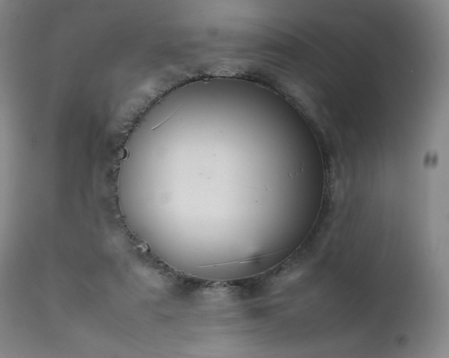 X0000111900307200907271204