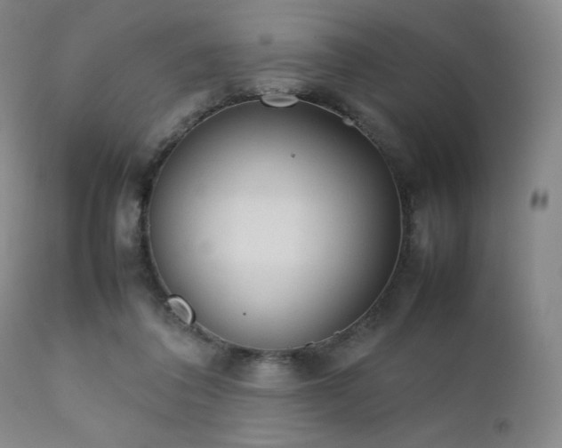 X0000111900308200907271204