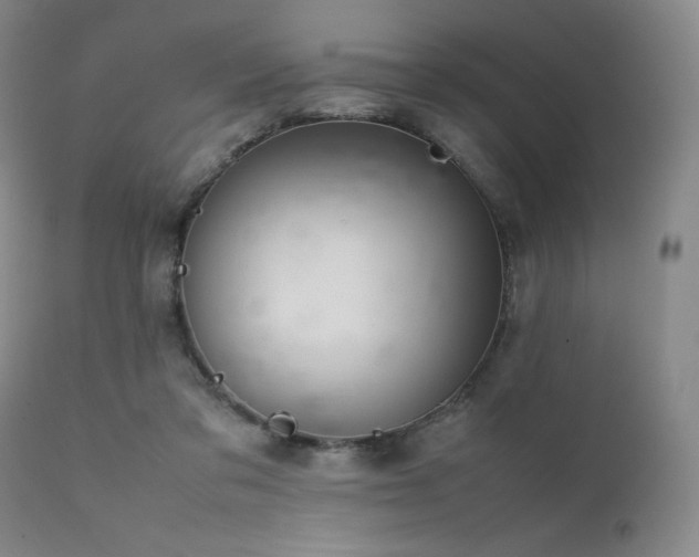 X0000111900309200907271204