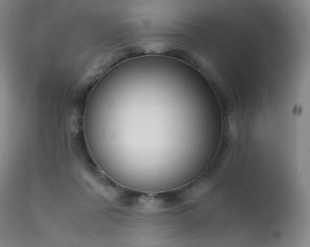 X0000111900311200907271204