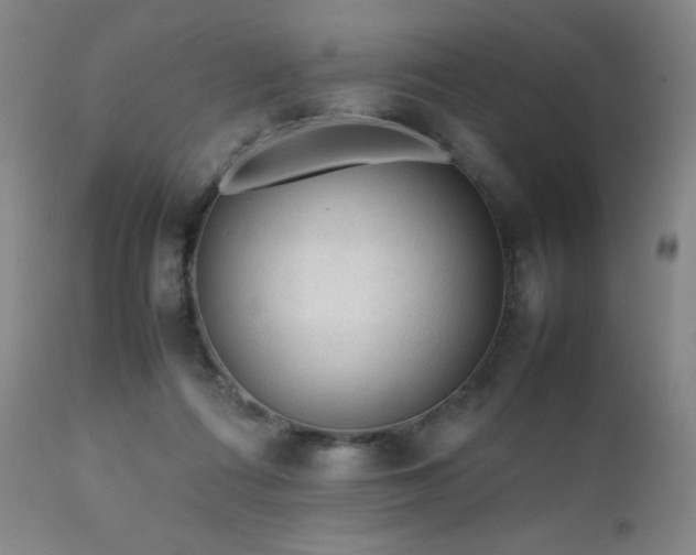 X0000111900312200907271204