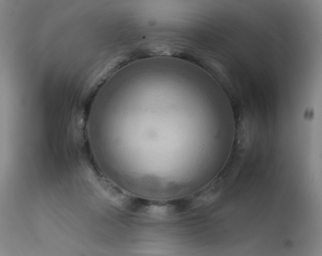 X0000111900314200907271204