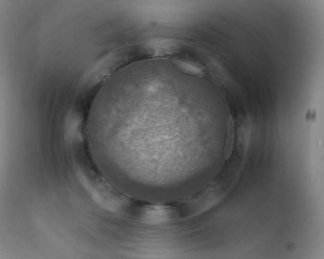 X0000111900316200907271204