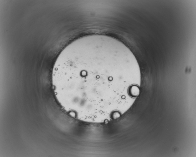 X0000111900317200907271204