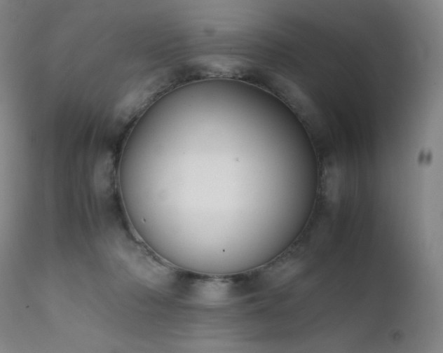 X0000111900318200907271204