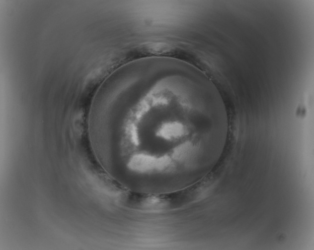 X0000111900319200907271204