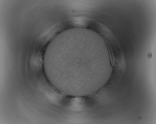 X0000111900320200907271204