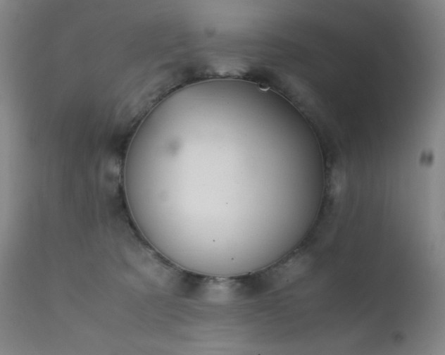 X0000111900321200907271204