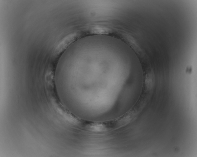 X0000111900322200907271204