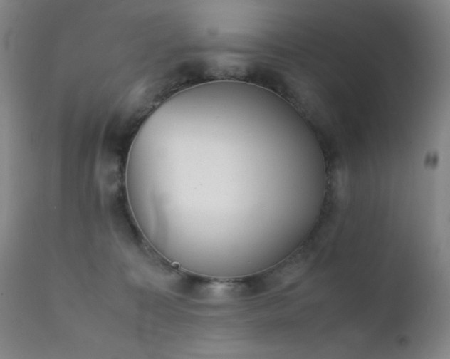 X0000111900323200907271204