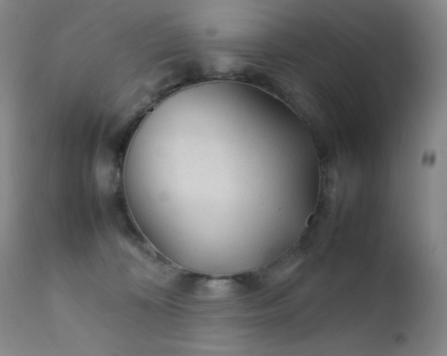 X0000111900324200907271204