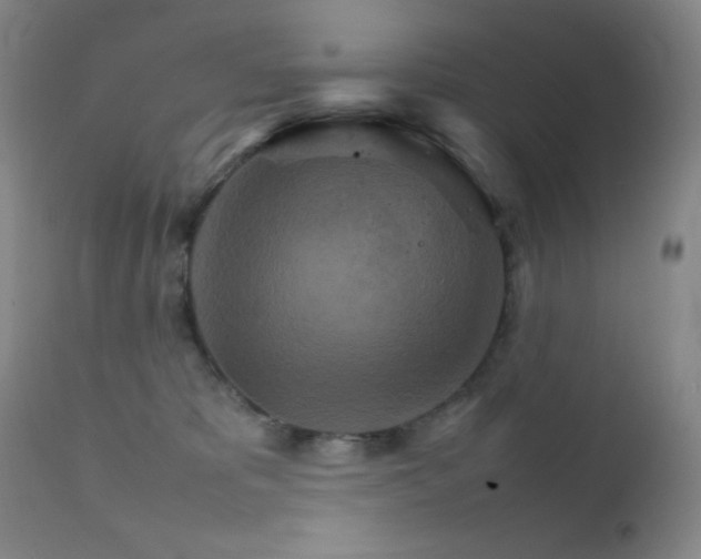 X0000111900325200907271204