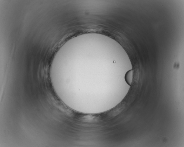 X0000111900326200907271204