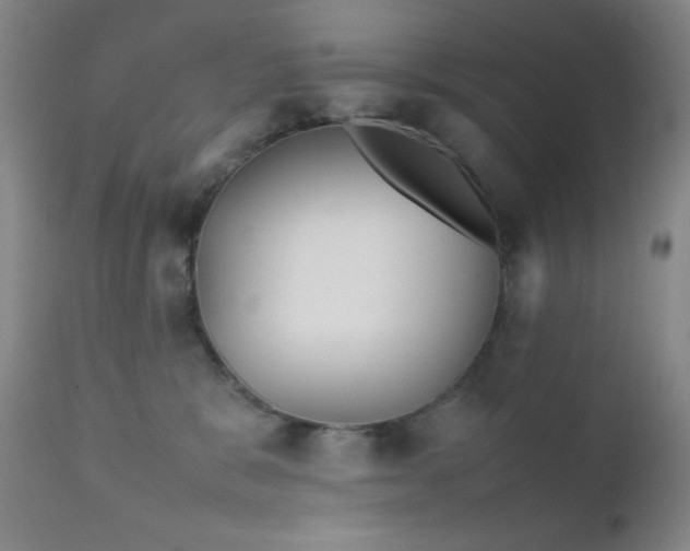 X0000111900327200907271204