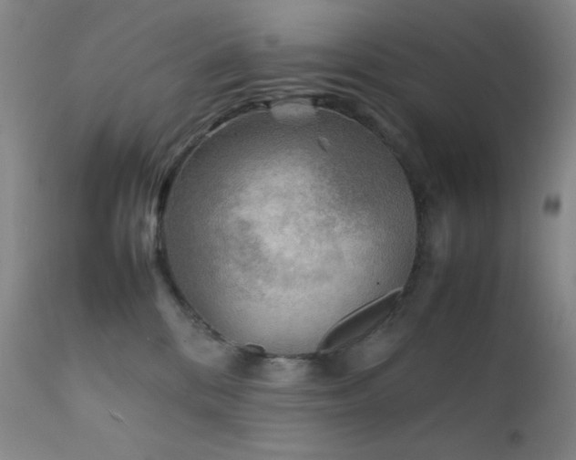 X0000111900328200907271204