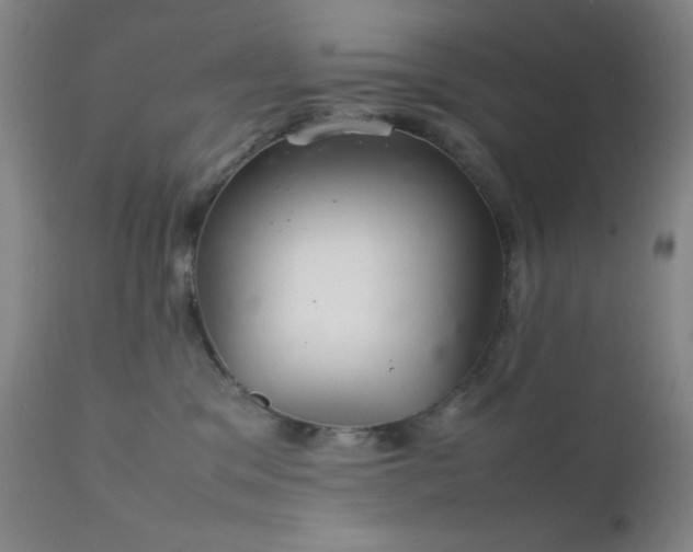 X0000111900329200907271204