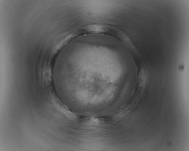 X0000111900330200907271204