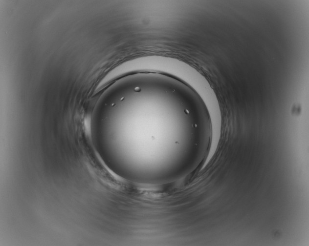 X0000111900332200907271204