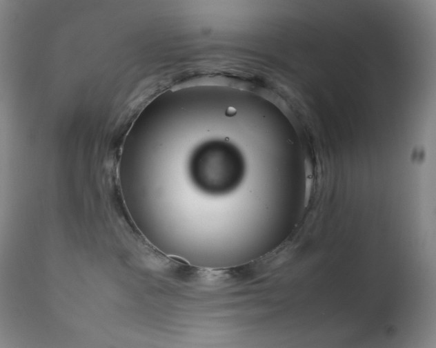 X0000111900333200907271204