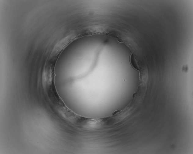 X0000111900334200907271204