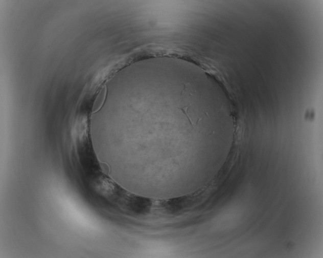 X0000111900335200907271204