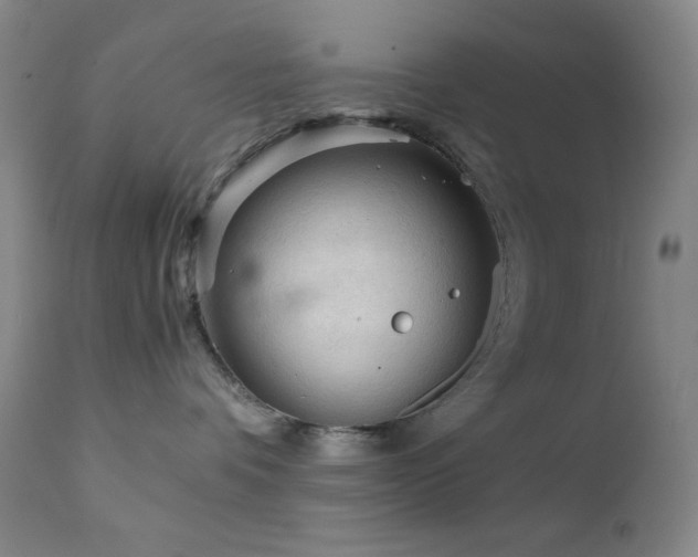 X0000111900336200907271204