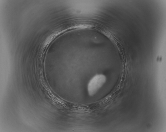 X0000111900337200907271203