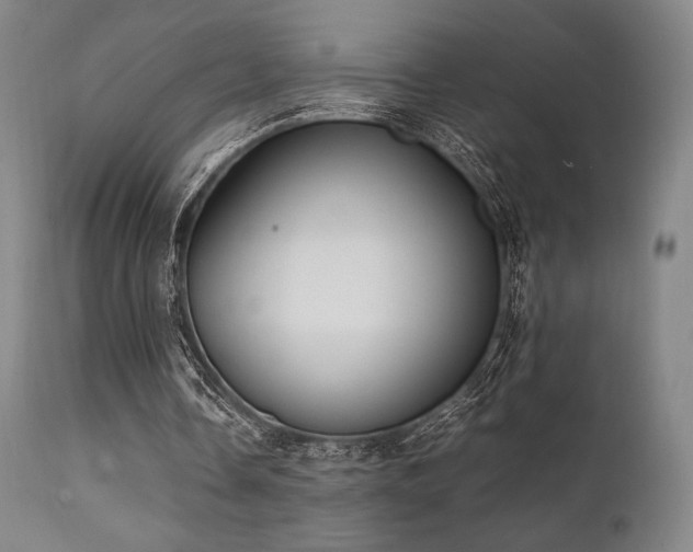 X0000111900338200907271203