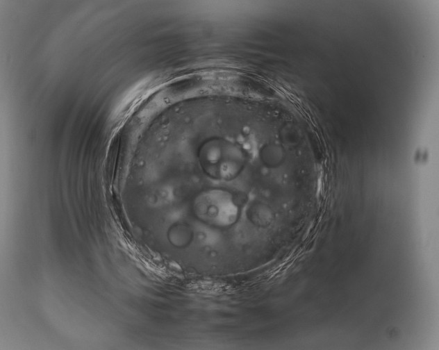 X0000111900339200907271203