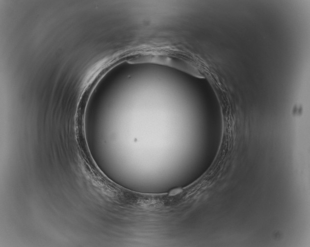 X0000111900340200907271203