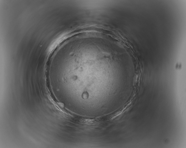 X0000111900341200907271203