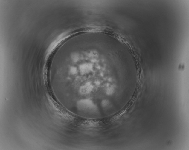 X0000111900343200907271203