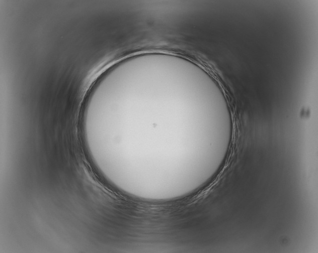 X0000111900344200907271203