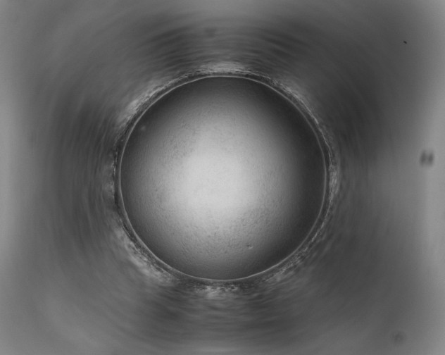 X0000111900345200907271203